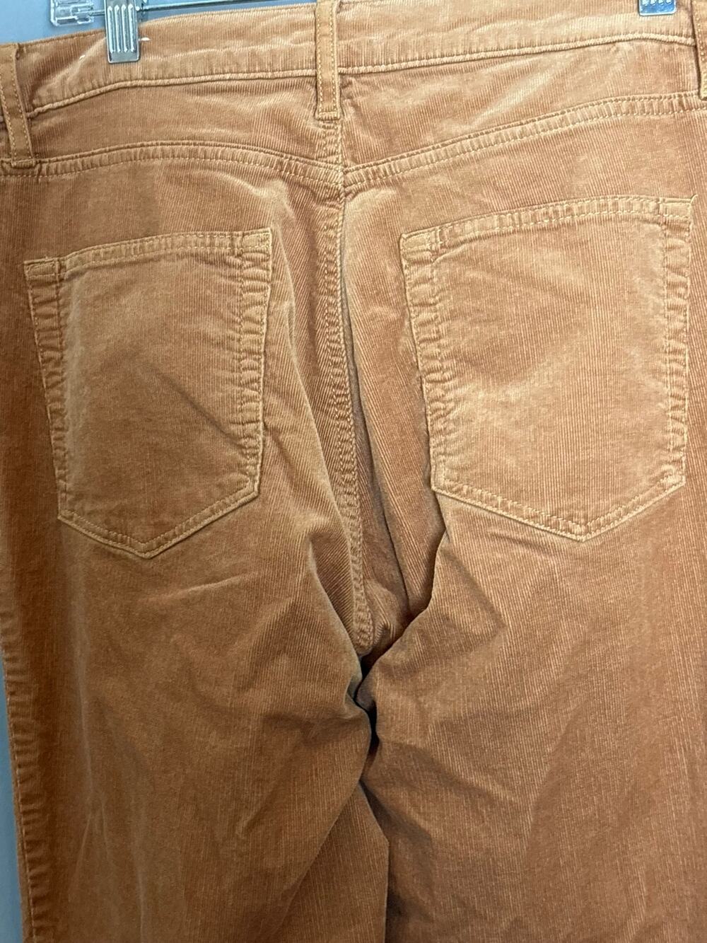 LOFT Womens Rust High Waist Skinny Pants Size 12